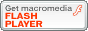 Ladda 'Flash Player'